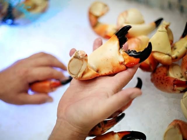 How to Crack Stone Crab Claws Without Wrecking the Meat