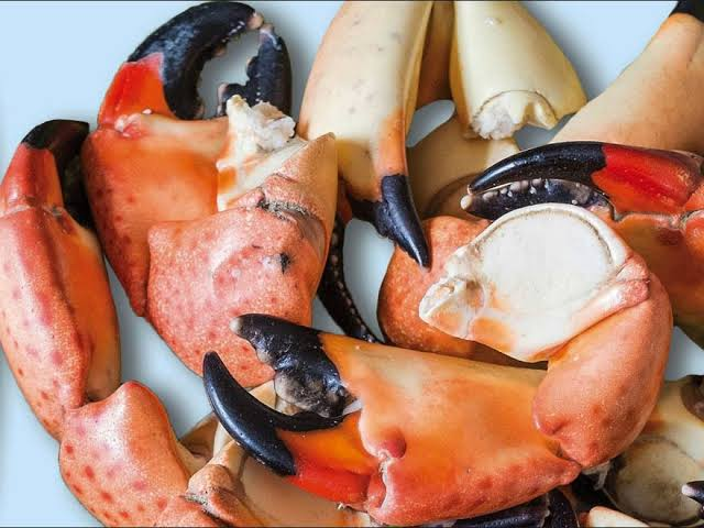 Stone Crab Season Florida: What West Palm Beach Seafood Customers Should Know