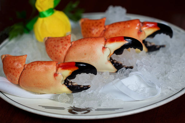 FLORIDA STONE CRAB