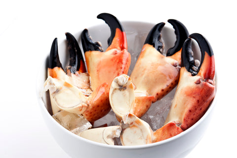 FLORIDA STONE CRAB